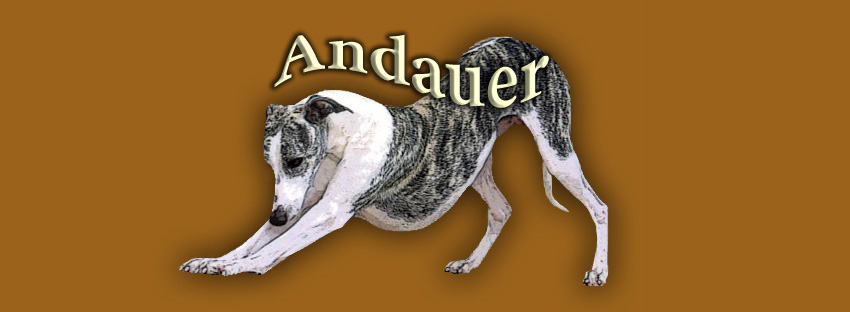 Andauer Whippets