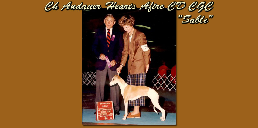 Ch Andauer Hearts Afire CD CGC